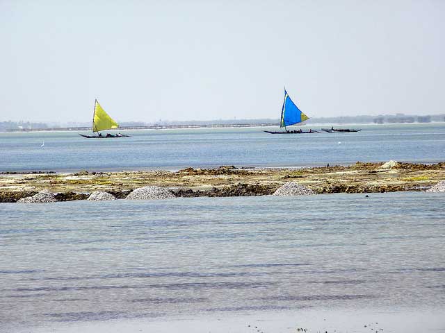 Pulicat Lake